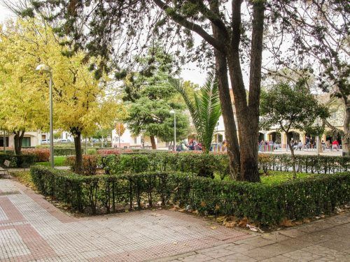 Plaza Rabasa