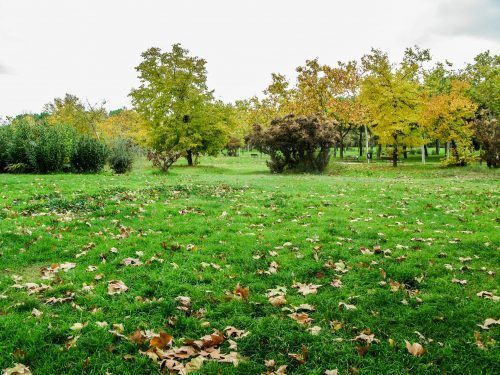 parque cruces